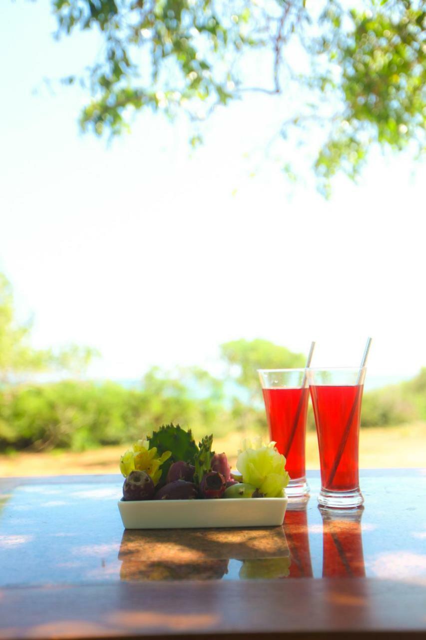 Nil Sisila Beach Resort Yala Exterior photo